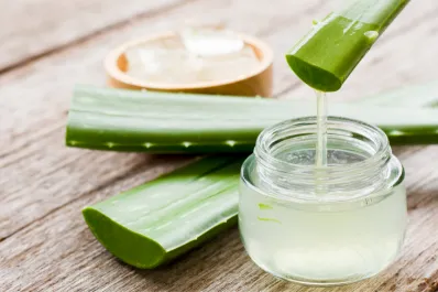 ¿Qué le pasa a la piel del rostro si aplicamos aloe vera todos los días?