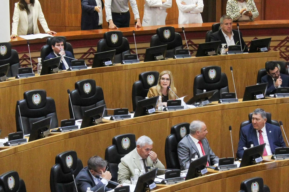 SILVIA ELÍAS DE PÉREZ. Presentó hoy en sesión un pedido para insistir en el texto de la ley sancionada el 16 de octubre, que otorgaba al municipio de Tafí Viejo el control total sobre los espacios verdes y los locales comerciales de Lomas de Tafí.