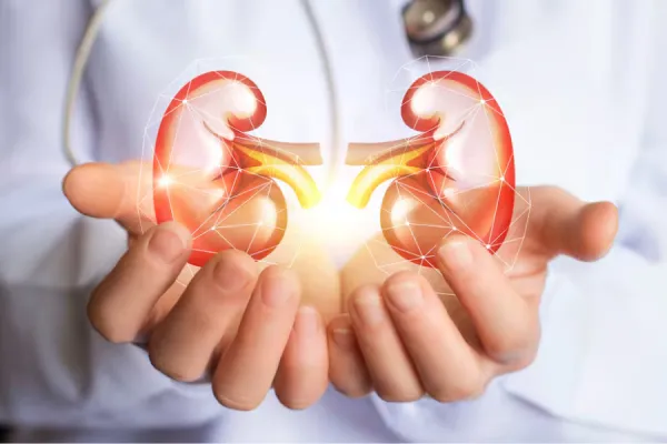 ¿Cuáles son los tres alimentos que dañan los riñones?