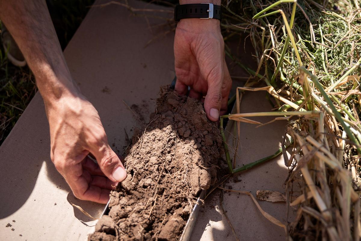 Prodeman es el nuevo Bayer ForwardFarming de Argentina donde se impulsa la agricultura regenerativa a través de prácticas  sustentables de vanguardia