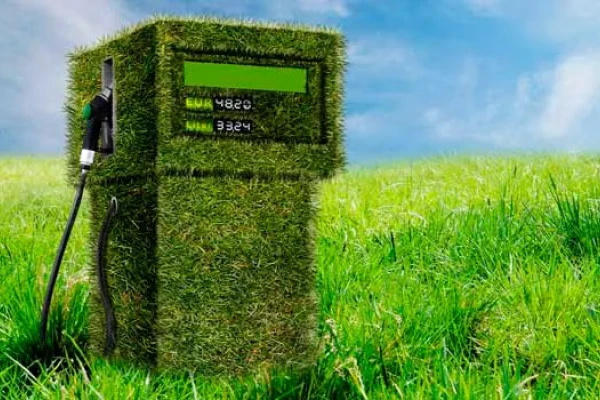 Políticas sobre biocombustibles y sobre bioenergía en Tucumán