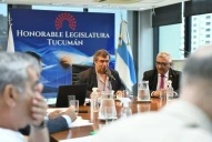 Presupuesto provincial 2025: el Gobierno insiste con límites a los excedentes financieros