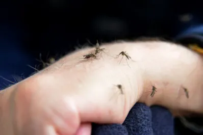 Santa Fe: cuatro personas murieron por dengue esta semana