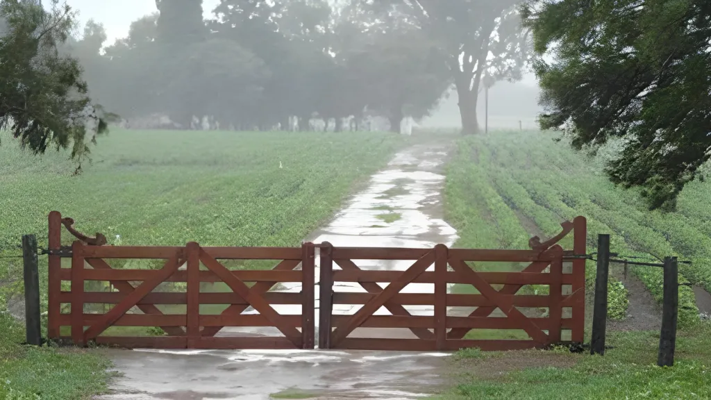 Lluvia en un campo. PRENSA BCR