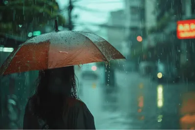 Alerta amarilla en 10 provincias: ¿hasta cuándo seguirán las lluvias y tormentas en Argentina?