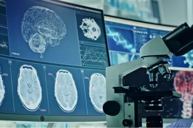 Sorprendente hallazgo sobre la memoria: no todos los recuerdos se guardan en el cerebro