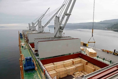 De enero a septiembre, la exportación de madera creció un 19% interanual