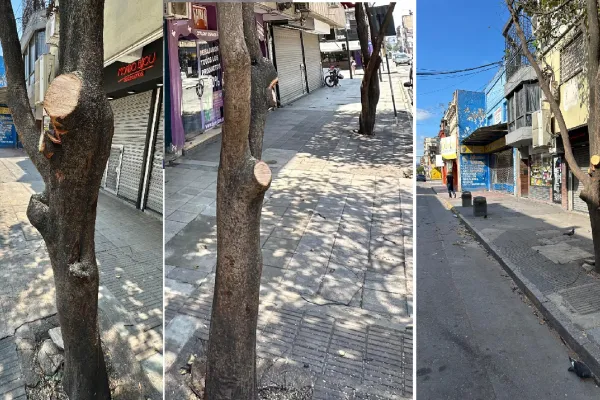 Legislador denuncia mutilación de árboles en el microcentro tucumano: “Es una aberración ambiental”
