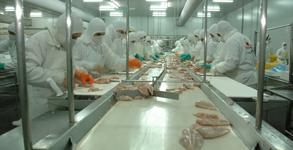 La mayor productora de pollos del país se declaró en crisis y 700 trabajadores podrían perder sus puestos