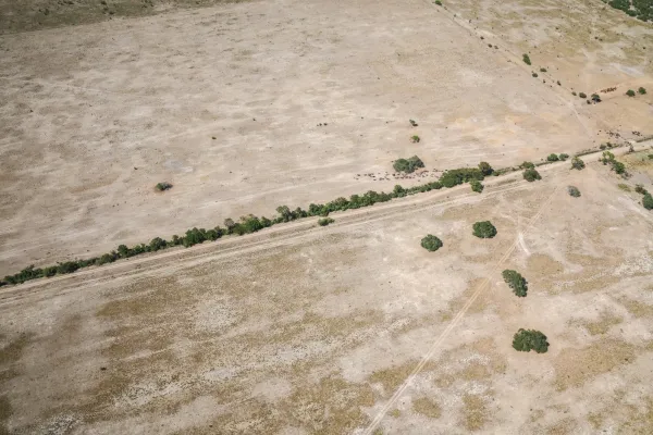 Santa Fe: el gobierno declaró la emergencia agropecuariapor la sequía