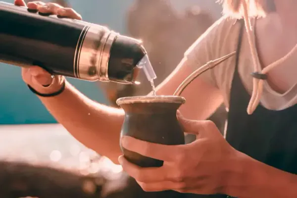 La poderosa hierba para el mate que desinflama el abdomen y reduce el cansancio