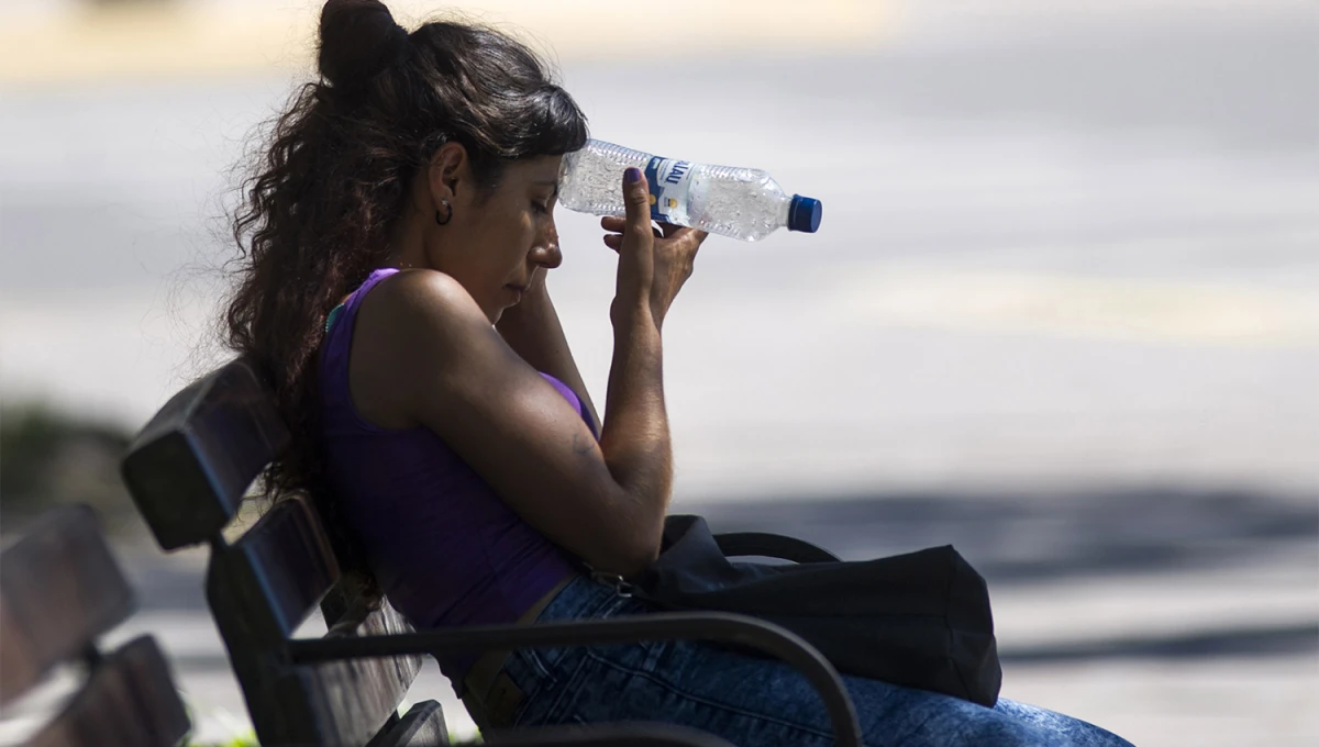 CALIENTE. La sombra y la hidratación serán la clave para atravesar un viernes caluroso. 