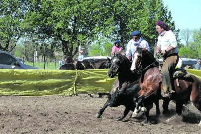 Tradicional evento: la Expo Apronor 2025 incluirá una muestra de caballos criollos
