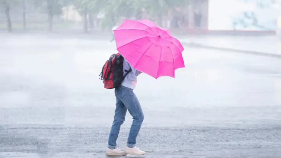 Renuevan la alerta amarilla por fuertes tormentas y granizo: qué provincias son las afectadas