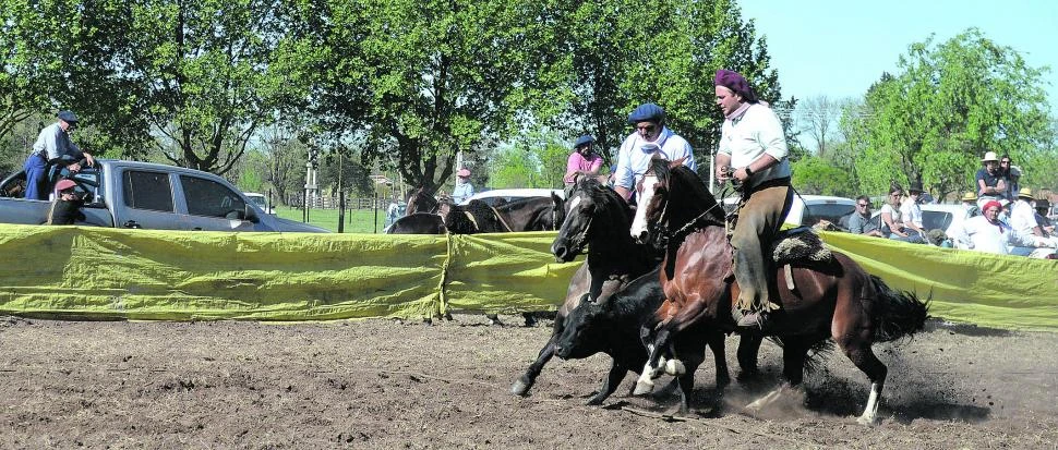 Tradicional evento: la Expo Apronor 2025 incluirá una muestra de caballos criollos