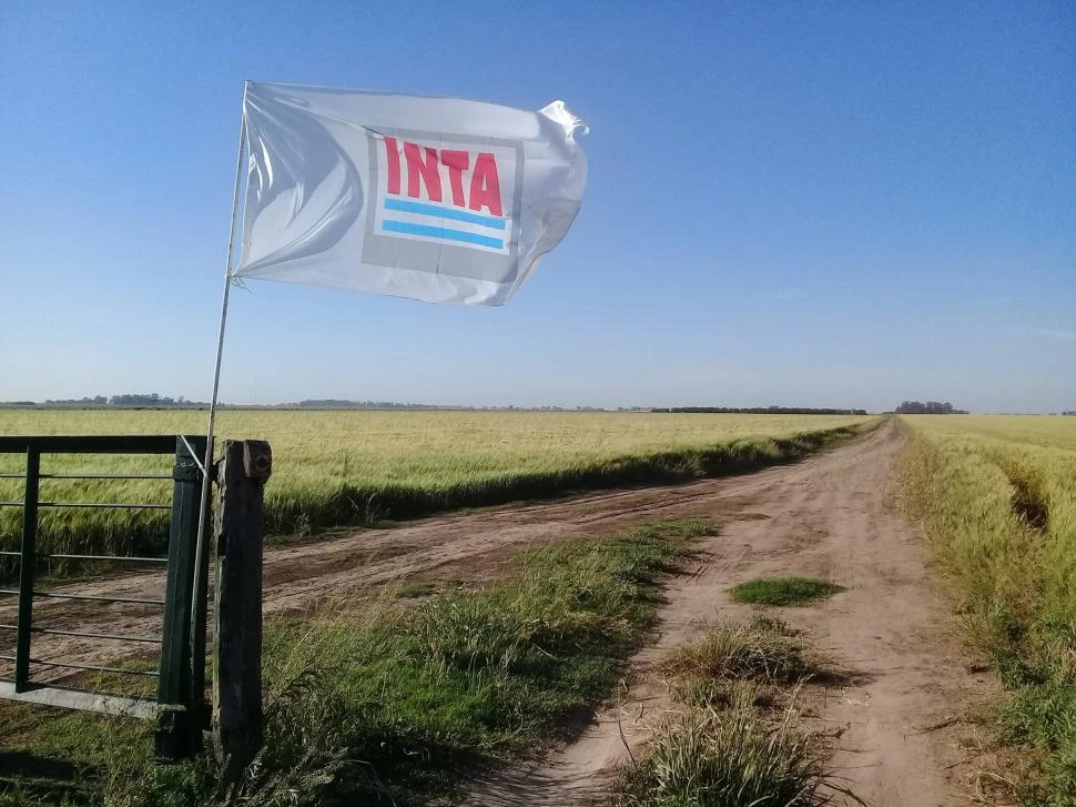 JERARQUÍA. El INTA trascendió su rol técnico para convertirse en patrimonio de los argentinos; es y será siempre fundamental para el desarrollo agropecuario, agroalimentario y agroindustrial del país.