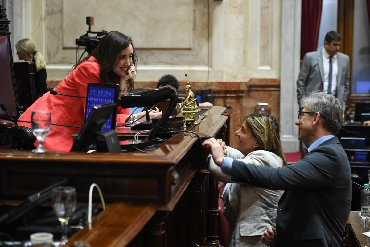 Villarruel, durante la sesión informativa especial en el recinto del Senado de la Nación. PRENSA SENADO