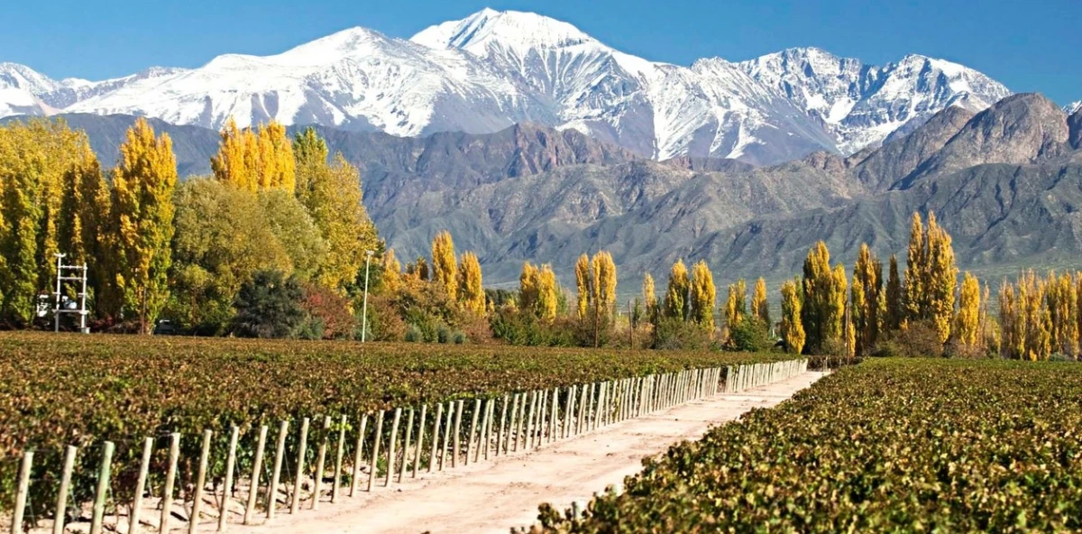 Vacaciones 2025: cuánto cuesta hospedarse por 10 días en los valles de Mendoza