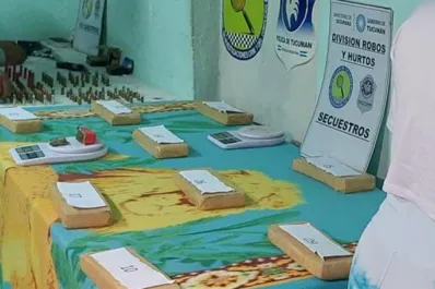 Operativo: la justicia federal liberó a la mujer que escondía nueve kilos de marihuana