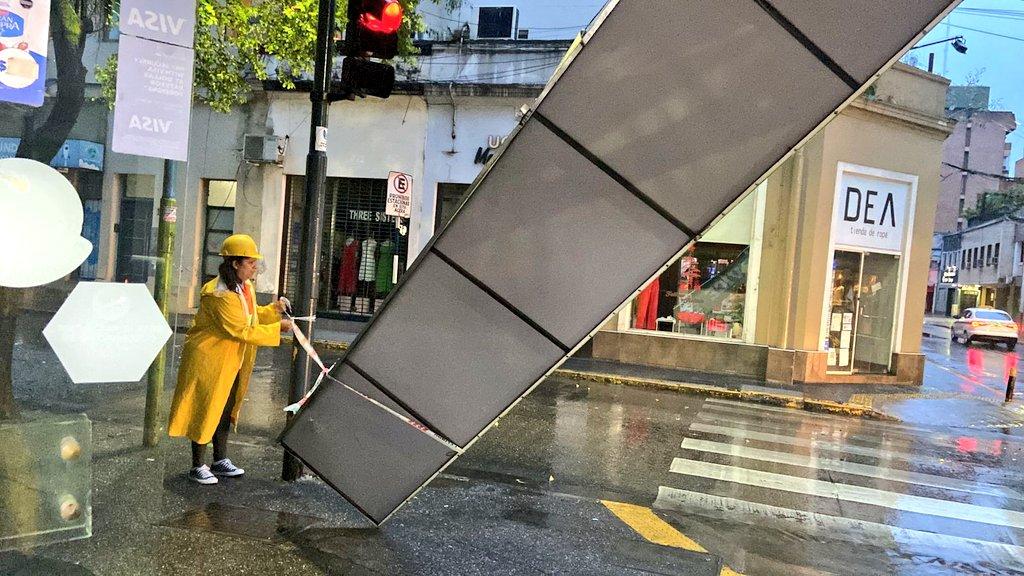 El viento despertó a los tucumanos: llegó a los 60 kilómetros por hora y provocó la caída de árboles