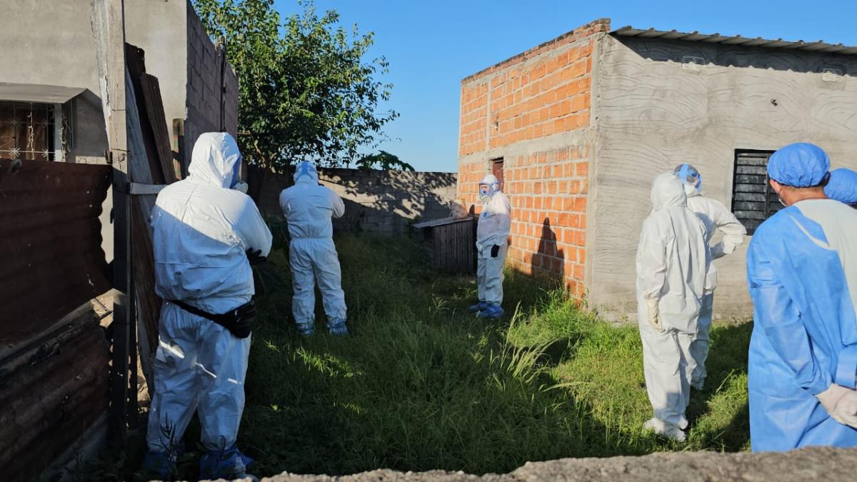 Encontraron el cadáver de una mujer enterrado en una casa de Concepción