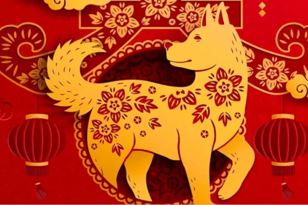 Horóscopo chino: cómo será el 2025 para las personas de Perro, según Ludovica Squirru