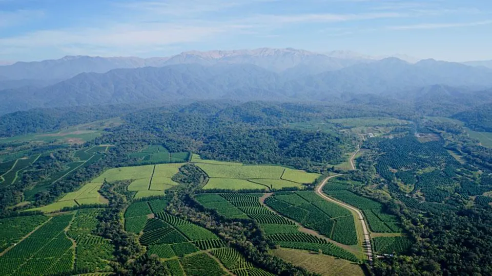 Área protegida en Tucumán. PRENSA PROYUNGAS