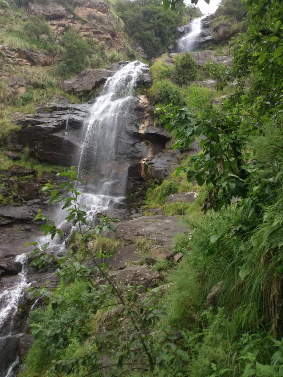 CASCADA. Esta maravilla aguarda al final del sendero de Los Alisos. / LA GACETA