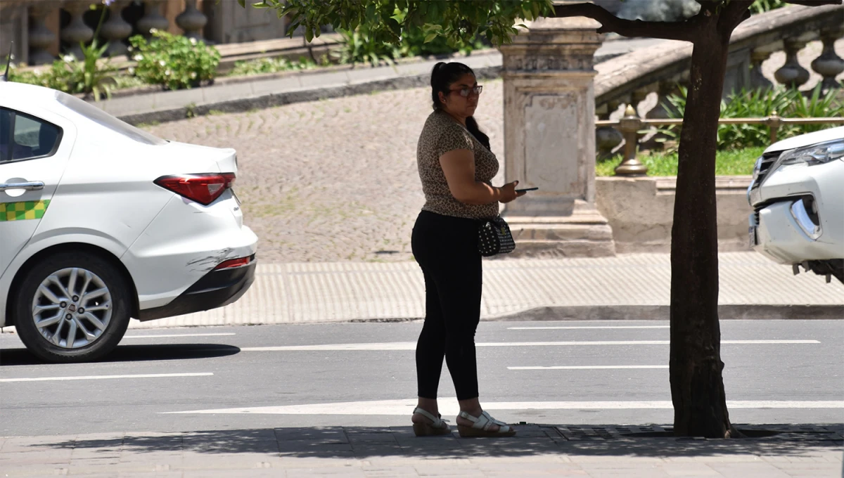 A LA SOMBRA. El calor se sentirá esta semana en Tucumán, con temperaturas que superarán los 30 °C.