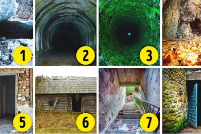 Test viral: la imagen que más miedo te dé revela los secretos ocultos de tu personalidad