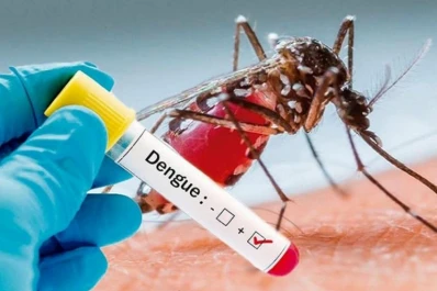 Se notificaron solo dos casos de dengue en esta temporada