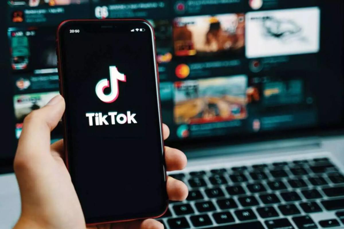 Cuáles fueron las principales tendencias de TikTok durante 2024 en Argentina