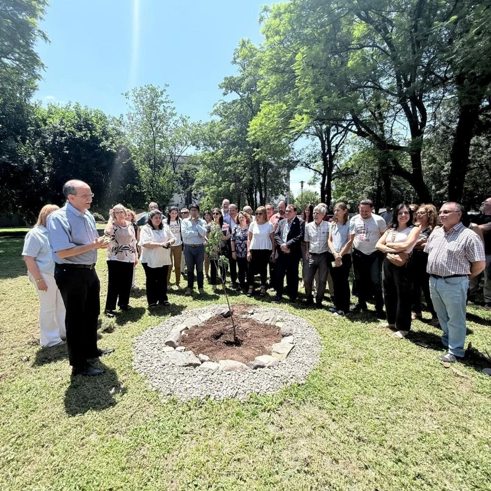 “EL RINCÓN DE NEWTON”. Se trata de un ejemplar de Malus Domestica el que sembraron en la Facultad. www.facet.unt.edu.ar