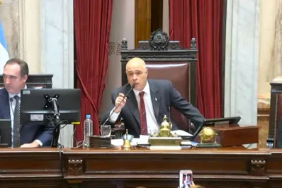 El presidente provisional del Senado se opuso a una suba de sueldo: La gente nos está mirando