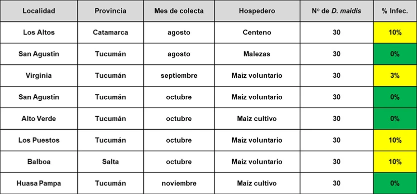 Los valores de infectividad de la chicharrita para spiroplasma se derrumbaron el último trimestre