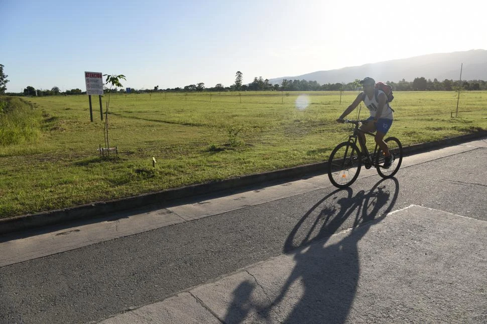 MANTENIMIENTO. Cortar el césped, una tarea constante en el parque.