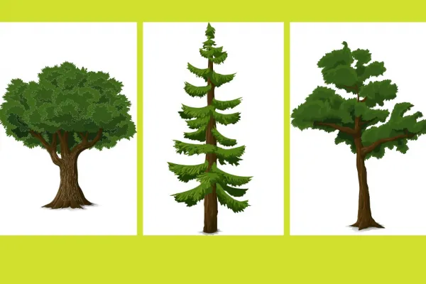 Test viral: el árbol que elijas revelará el rasgo que más destacan de tu personalidad