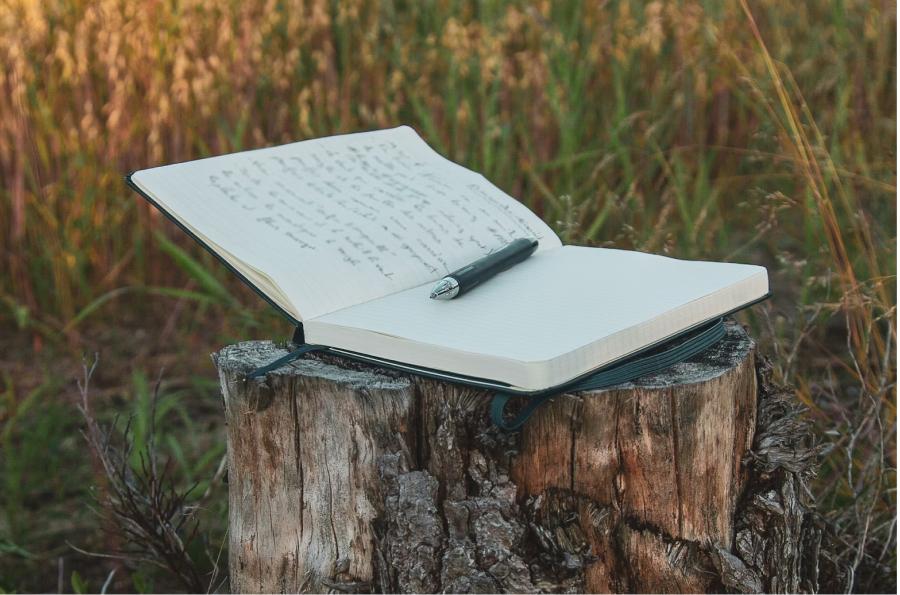 CONEXIÓN CON LA NATURALEZA. Los 50 autores seleccionados tendrán árboles en su nombre en el Bosque de la Poesía. / UNSPLASH