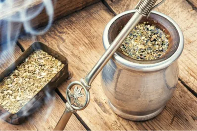 Las hierbas para el mate que calman los dolores estomacales y ayudan a aliviar la hinchazón