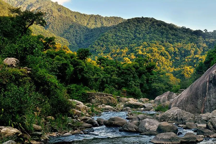 Reserva natural Quebrada del Portugués.