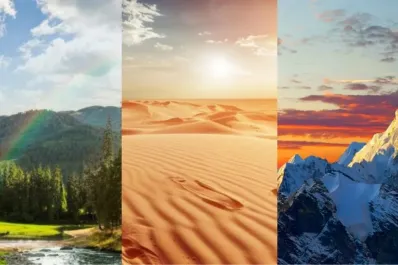 Test de personalidad: Test de personalidad: elegí un camino y descubrí cómo será tu 2026