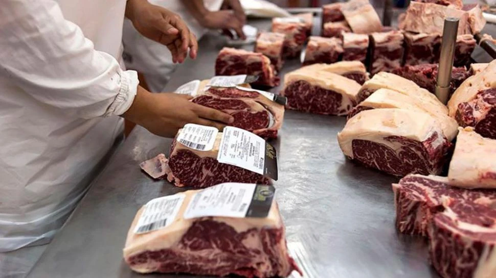 Carne: de enero a noviembre creció un 11% la exportación