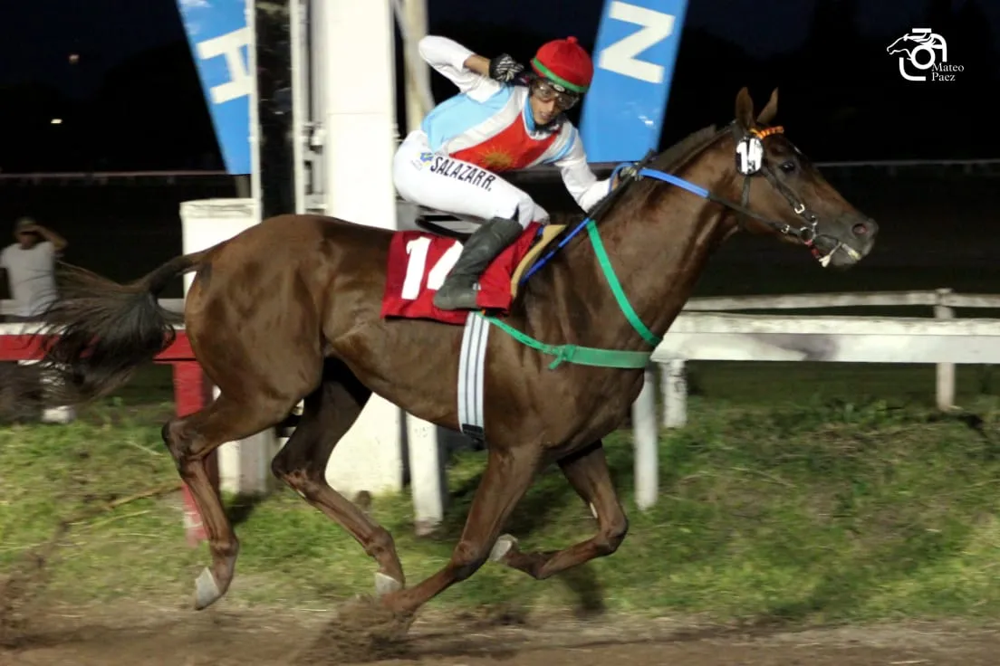 TAREA CUMPLIDA. El porteño He’s a Rockstar fue una aplanadora en la recta final del clásico y consiguió una contundente victoria en el cotejo de 2.000 metros.