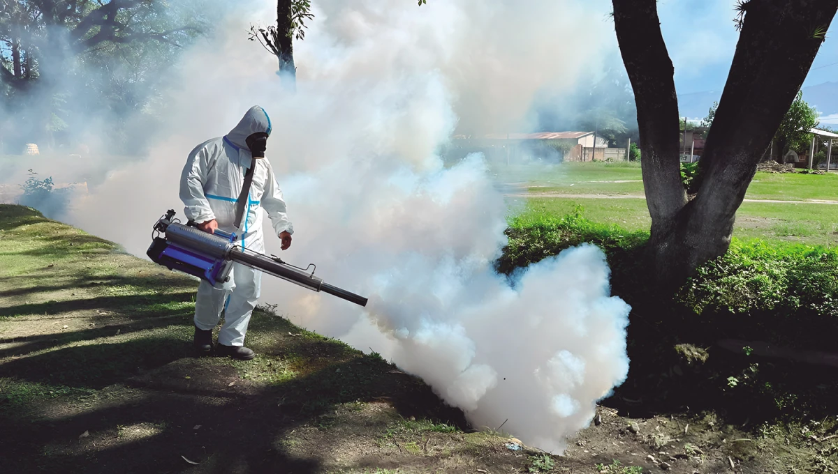 Las campañas de fumigaciones forman parte de la estrategia para frenar al Aedes aegypti.