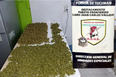 Salta vuelve a aparecer como origen de un envío de marihuana