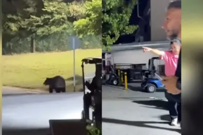 Un oso apareció en la casa de Martín Demichelis en México: “Se me salió el corazón”