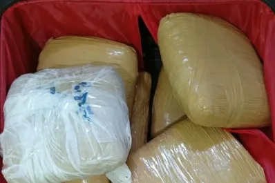 Secuestraron 17 Kilos de marihuana en un colectivo de larga distancia: una mujer demorada