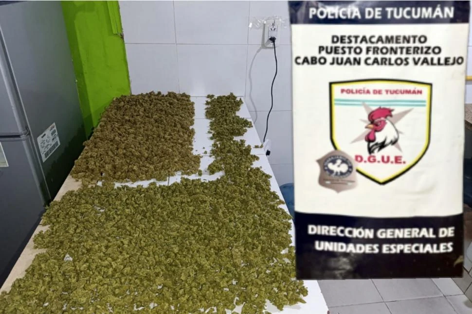 PRUEBA. El cannabis que traen los narcotraficantes desde el norte es de mayor calidad.