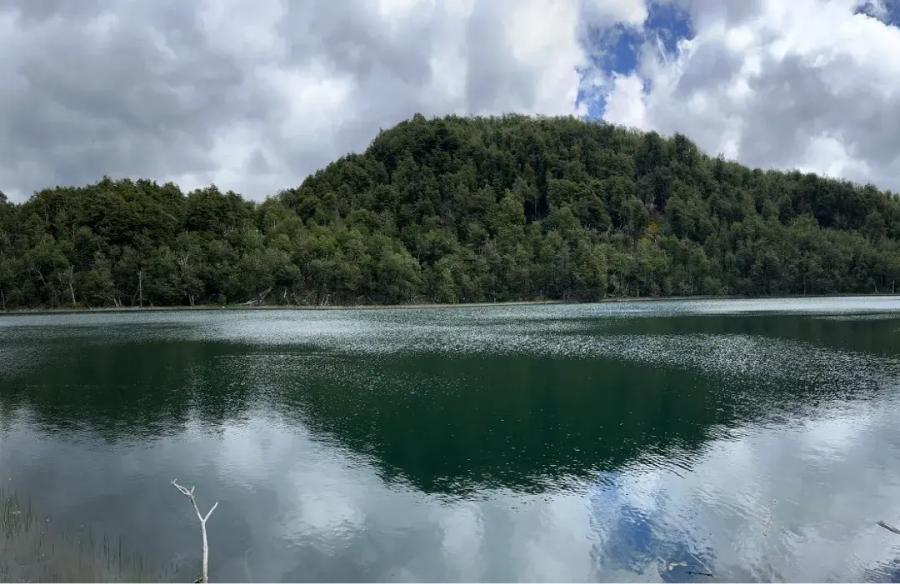 CERCA DEL BOSQUE. El lugar en contacto con la naturaleza. / ALL TRAILS. 