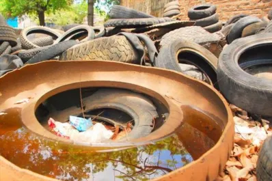 Los diez consejos para prevenir el dengue este verano